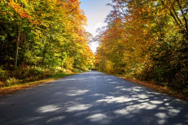Cost of Blacktop Replacement in Green Valley